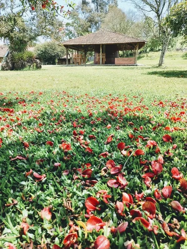 Degustação Dei Colori — imagem 4